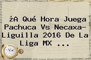 ¿A Qué Hora Juega <b>Pachuca Vs Necaxa</b>? Liguilla 2016 De La Liga MX ...