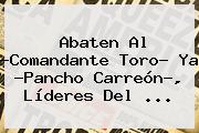 Abaten Al ?<b>Comandante Toro</b>? Ya ?Pancho Carreón?, Líderes Del ...
