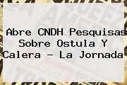 Abre CNDH Pesquisas Sobre <b>Ostula</b> Y Calera ? La Jornada
