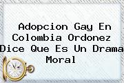 <b>Adopcion Gay</b> En Colombia Ordonez Dice Que Es Un Drama Moral