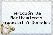 Ver aficion da recibimiento especial a dorados Afición Da Recibimiento Especial A <b>Dorados</b>