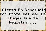 Alerta En Venezuela Por Brote Del <b>mal De Chagas</b> Que Ya Registra ...