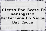 Alerta Por Brote De <b>meningitis</b> Bacteriana En Valle Del Cauca