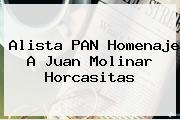 Alista PAN Homenaje A <b>Juan Molinar Horcasitas</b>