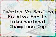 Ver america vs benfica en vivo por la internacional champions cup <b>América Vs Benfica</b>, En Vivo Por La Internacional Champions Cup