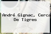 André <b>Gignac</b>, Cerca De Tigres