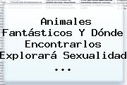 <b>Animales Fantásticos Y Dónde Encontrarlos</b> Explorará Sexualidad ...