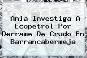 Anla Investiga A <b>Ecopetrol</b> Por Derrame De Crudo En Barrancabermeja