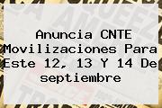 Anuncia CNTE Movilizaciones Para Este 12, <b>13</b> Y 14 De <b>septiembre</b>
