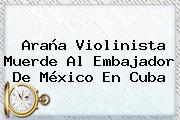 <b>Araña Violinista</b> Muerde Al Embajador De México En Cuba