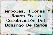 Árboles, Flores Y Ramos En La Celebración Del <b>Domingo De Ramos</b>