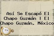 Así Se Escapó El <b>Chapo Guzmán</b> | El <b>Chapo Guzmán</b>, México