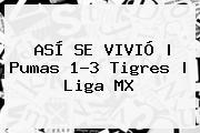 ASÍ SE VIVIÓ | <b>Pumas</b> 1-3 <b>Tigres</b> | Liga MX