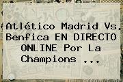 Atlético Madrid Vs. Benfica EN DIRECTO ONLINE Por La <b>Champions</b> <b>...</b>
