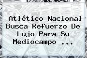 <b>Atlético Nacional</b> Busca Refuerzo De Lujo Para Su Mediocampo ...
