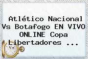 Atlético Nacional Vs Botafogo EN VIVO ONLINE Copa Libertadores ...