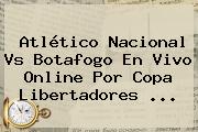 Atlético <b>Nacional</b> Vs Botafogo En Vivo Online Por Copa Libertadores ...