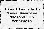 Bien Plantada La Nueva Asamblea <b>Nacional</b> En Venezuela