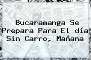 <b>Bucaramanga</b> Se Prepara Para El <b>día Sin Carro</b>, Mañana