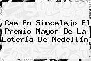 Cae En Sincelejo El Premio Mayor De La <b>Lotería De Medellín</b>