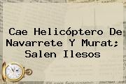 Cae Helicóptero De <b>Navarrete</b> Y Murat; Salen Ilesos