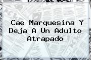 Ver cae marquesina y deja a un adulto atrapado <b>Cae Marquesina Y Deja A Un Adulto Atrapado</b>