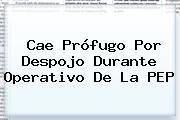 Cae Prófugo Por Despojo Durante Operativo De La <b>PEP</b>