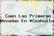 Ver caen las primeras nevadas en coahuila <i>Caen Las Primeras Nevadas En #Coahuila</i>