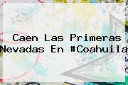 <i>Caen Las Primeras Nevadas En #Coahuila</i>