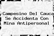 <i>Campesino Del Cauca Se Accidenta Con Mina Antipersonal</i>