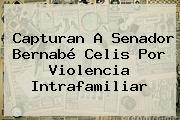 Capturan A Senador <b>Bernabé Celis</b> Por Violencia Intrafamiliar