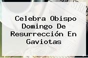 Celebra Obispo <b>Domingo De Resurrección</b> En Gaviotas