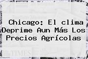 <b>Chicago</b>: El <b>clima</b> Deprime Aun Más Los Precios Agrícolas