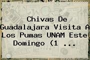 <b>Chivas</b> De <b>Guadalajara</b> Visita A Los <b>Pumas</b> UNAM Este Domingo (1 ...