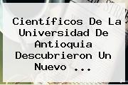 Científicos De La <b>Universidad De Antioquia</b> Descubrieron Un Nuevo ...