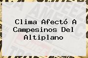 <b>Clima</b> Afectó A Campesinos Del Altiplano