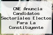 <b>CNE</b> Anuncia Candidatos Sectoriales Electos Para La Constituyente