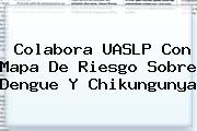 Colabora <b>UASLP</b> Con Mapa De Riesgo Sobre Dengue Y Chikungunya <b>...</b>
