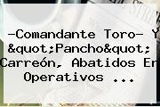 ?<b>Comandante Toro</b>? Y "Pancho" Carreón, Abatidos En Operativos ...