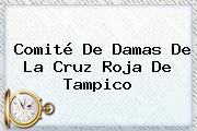 Comité De Damas De La <b>Cruz Roja</b> De Tampico