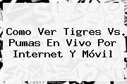 Como Ver <b>Tigres Vs. Pumas</b> En Vivo Por Internet Y Móvil