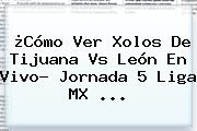 ¿Cómo Ver Xolos De <b>Tijuana Vs León</b> En Vivo? Jornada 5 Liga MX ...