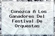 Conozca A Los Ganadores Del <b>Festival De Orquestas</b>