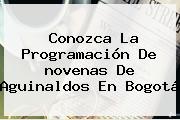Conozca La Programación De <b>novenas De Aguinaldos</b> En Bogotá