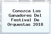Conozca Los Ganadores Del <b>Festival De Orquestas 2018</b>