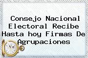 Consejo <b>Nacional</b> Electoral Recibe Hasta <b>hoy</b> Firmas De Agrupaciones