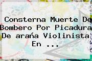 Consterna Muerte De Bombero Por Picadura De <b>araña Violinista</b> En <b>...</b>