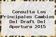 Consulta Los Principales Cambios Del <b>Draft</b> Del <b>Apertura 2015</b>