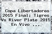 Copa Libertadores 2015 Final: <b>Tigres Vs River</b> Plate 2015 En Vivo ...