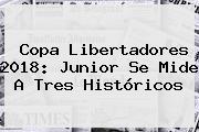 <b>Copa Libertadores 2018</b>: Junior Se Mide A Tres Históricos